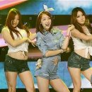 다솜 이미지