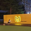 쌍둥이네 애견 이미지