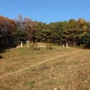 김유선생 신도비 이미지