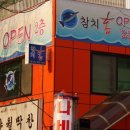 참치홍