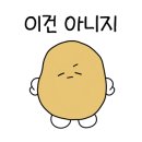 꼬마마리스시 이미지