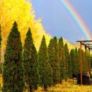 "이런 곳이 가을 명소가 있었다니" 여유롭게 단풍을 즐길 수 있는 국내 여행지 이미지