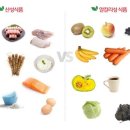 산성식품 이미지