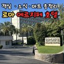 209팜 | 이탈리아 로마 에르지페 호텔 팜투어 패키지 숙소 솔직후기