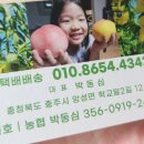 박여사네 - 제주시 | 박여사네