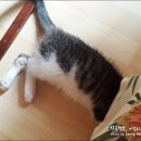 희섬정