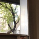 페인트(Faint) 이미지