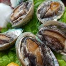 동해미락 이미지