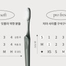 로얄상사