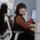 제주관광정보센터 이미지