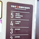 울산 강일웅고양이메디컬센터 이미지