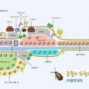 금물산하늘소캠프 이미지