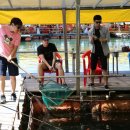 힐링호좌대 이미지