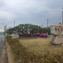 우림정비 이미지