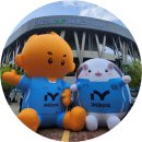 목골 | 울산HD vs 대구FC 8Rㅣ원정석 후기