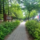 대전답례품 홍루이젠 월평선사24시 추천하는 이유