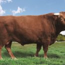 강원특별자치도축산기술연구소 이미지