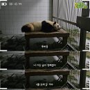 마카롱하우스 이미지