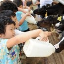 튼튼목장 이미지