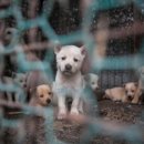 한국농장 이미지