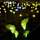 골프존 테마파크 이미지