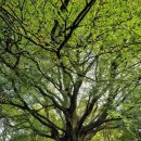 망상파크 이미지