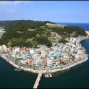 강구대게축구장 이미지