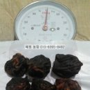 혜원농장 이미지