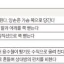 타이틀복싱킥복싱MMA우슈 이미지
