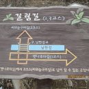 강교1리 이미지