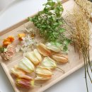 샛별세탁소 이미지