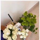 아폴로세탁소 이미지