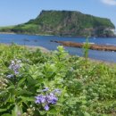 제주 일출봉 해안 일제동굴진지 이미지