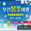 부천시 견인차량보관소 | 부천 원미산 진달래 동산 &#34;진달래 축제&#34; 대중 교통으로 가는 방법, 자차 이용 시 주차장 이용, 주변...