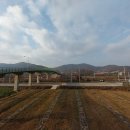 과선교버스정류장 이미지