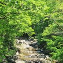 화엄사 주차장 | 구례 화엄사 홍매화 각황전 벚꽃 주차장 2026년 알고 가기