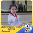 정무태권도학교 이미지