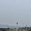 88게임장 이미지