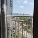 일산 아파트 유리창 청소 - 도래울파크뷰 창문 청소 후기