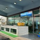 동해미락 | 제주도 서귀포 오션뷰 횟집에서 첫 갈치회 - 동해미락