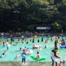 성주산자연휴양림 이미지