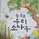 늘푸른서점 이미지