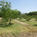 다다한정식 이미지