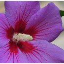 물나들이 이미지