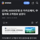 알리에