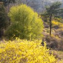 호수공원1길 이미지