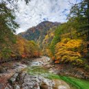 25년10월16일(목)설악산 백담사 수렴동계곡 단풍트레킹(리딩:원석) 이미지