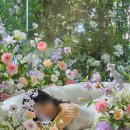 솔레유 | [결혼준비] 조화센터피스 대여 '르솔레유'