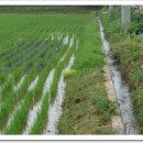 화석농장 이미지