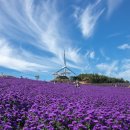 거창-신원-4 이미지